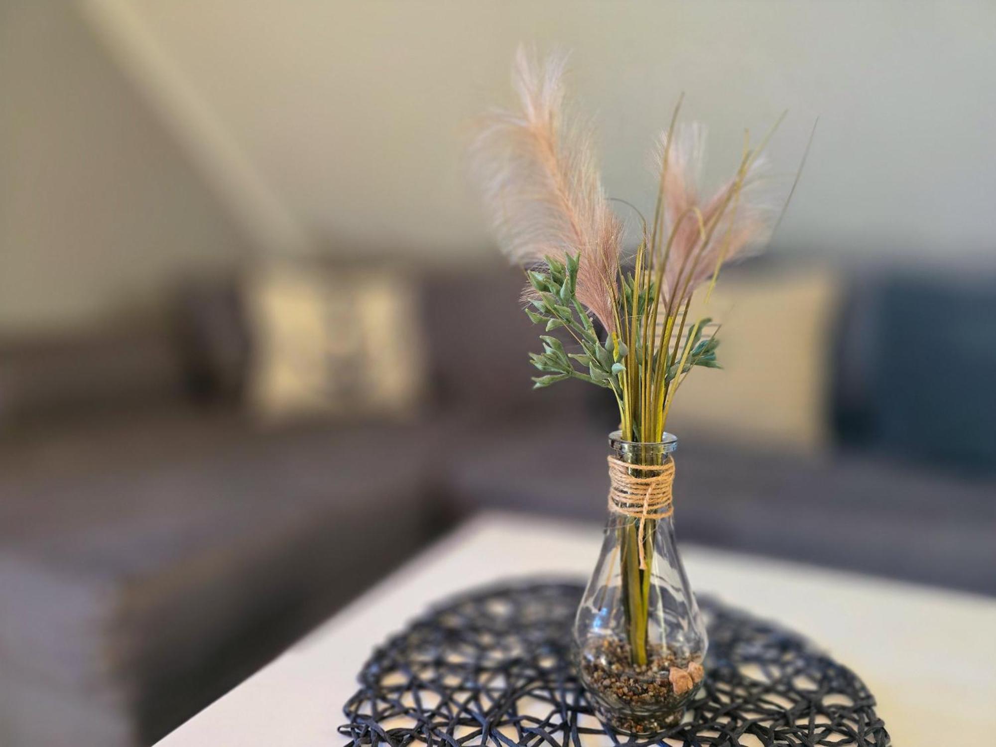 Feriendorf Rugana - Komfortplus Appartement Mit 1 Schlafzimmer C32 درانسكي المظهر الخارجي الصورة
